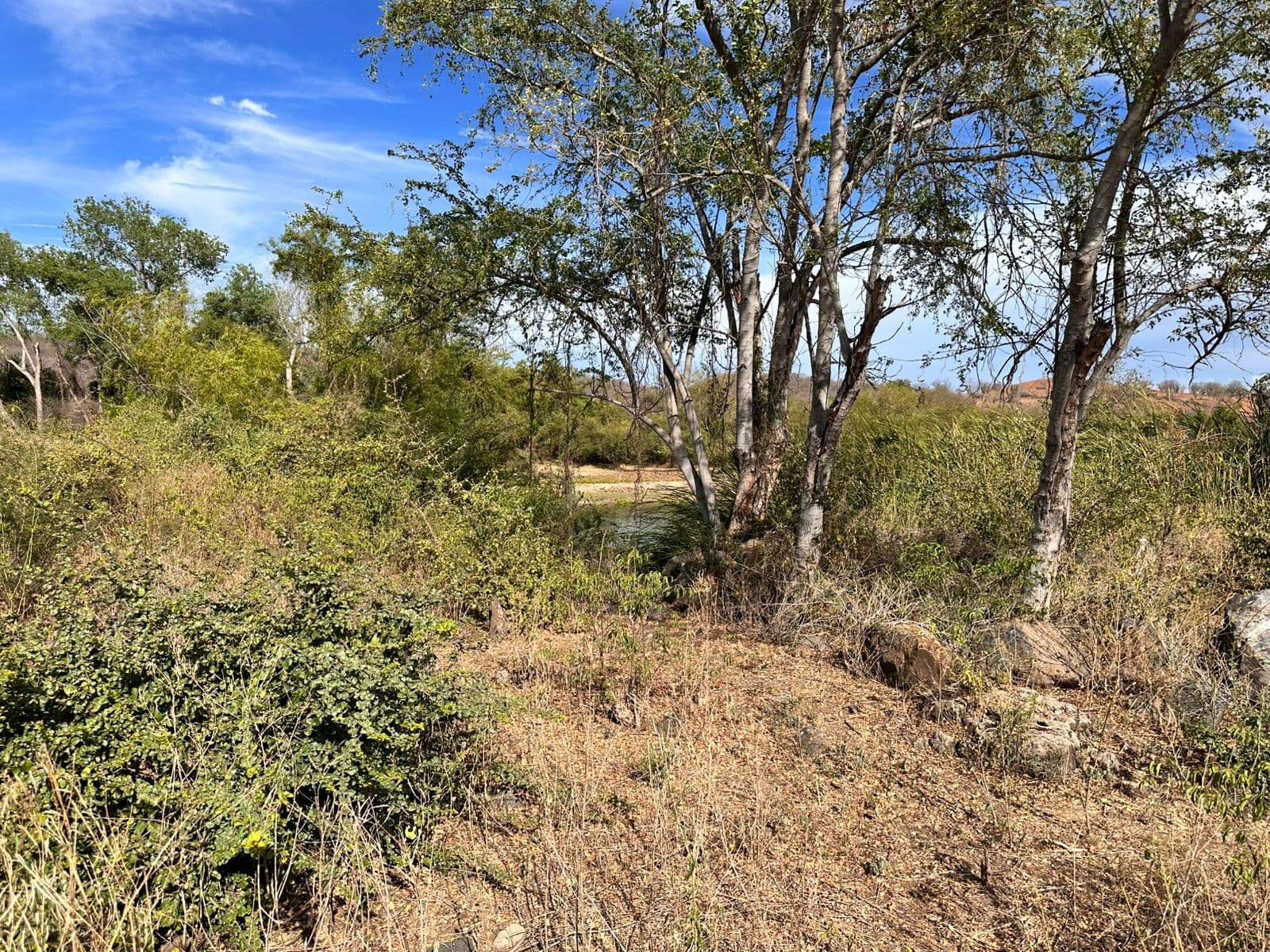 Proyecto ecoturístico de inversión