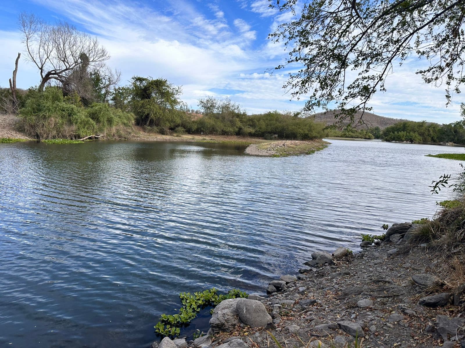 Río en Espacios Frente al Río